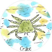 Crabi, le crabe